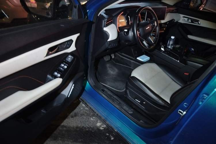 Used Haval LHERY 2021 High-Performance Version 1.5T Golden Rabbit