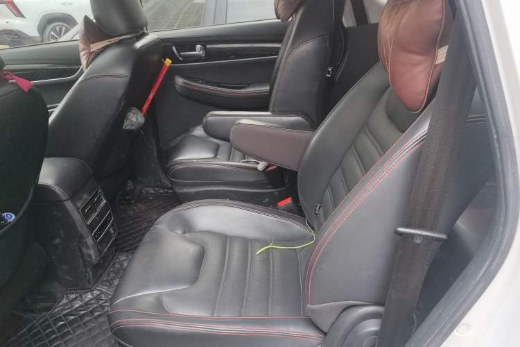 Used FORTHING SX6 2019 1.6L Manual Luxury Model China VI Standard