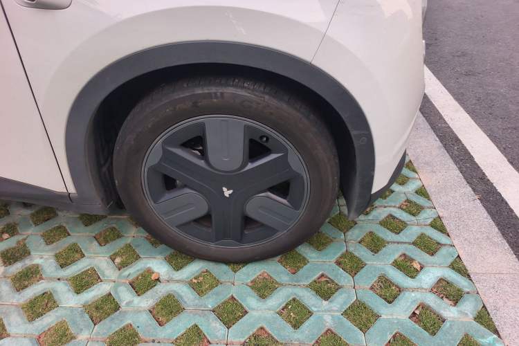 Used firefly 2025 Illuminated Edition
