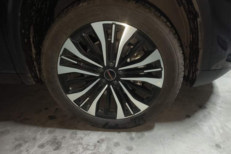 Used EXEED Lingyun 2024 300T Two-Wheel Drive Starlight Edition
