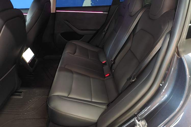 Used Tesla Model 3 2023 Long-Range All-Wheel-Drive Version Left Rear Seat