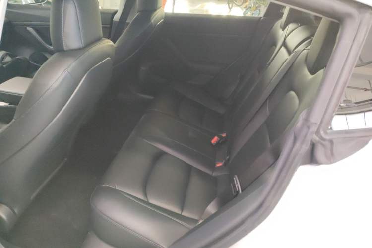 Used Tesla Model 3 2020 Standard Range Rear-Wheel Drive Upgraded Version