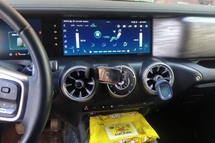 Used Tank 300 2021 City Edition 2.0T—Truly Stylish