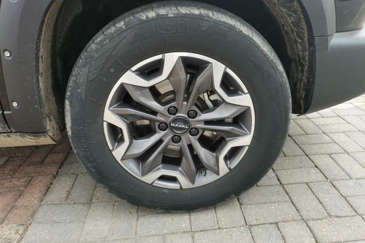 Used Haval DARGO 2024 2.0T DCT Chinese Rural Dog Edition
