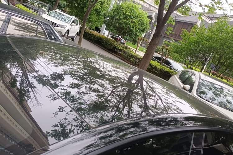 Used Tesla Model Y 2022 Revised Version Long-Range All-Wheel Drive
