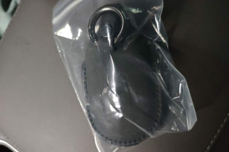 Used Nio ES7 2022 100 kWh Vehicle Key