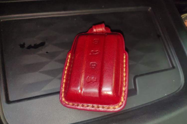 Used Tank 300 2024 2.0T Conqueror
