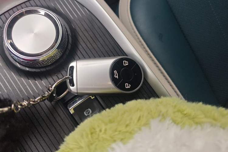 Used ORA Good Cat 2022 Morandi Edition 400km Standard Range Premium Version Lithium Iron Phosphate Vehicle Key