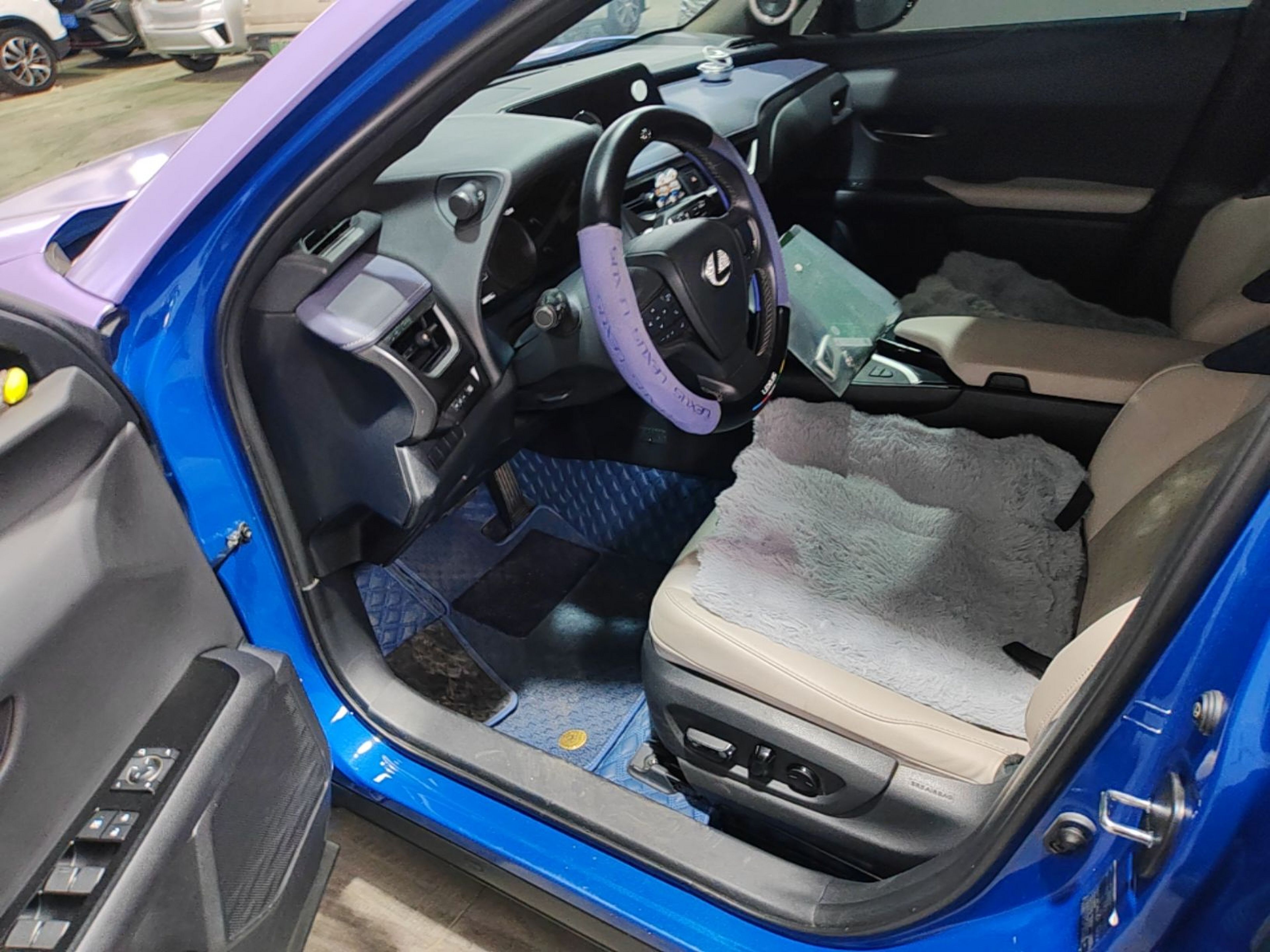 Interior delantero
