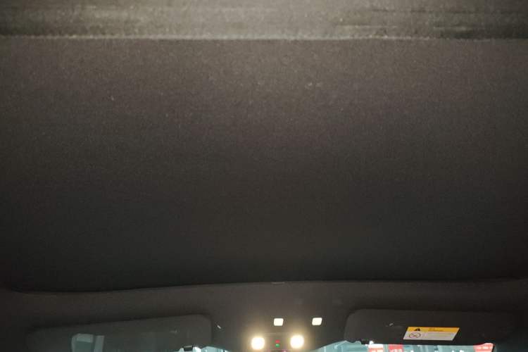 Used ONVO L60 2024 60 kWh Rear-Drive Version Headliner