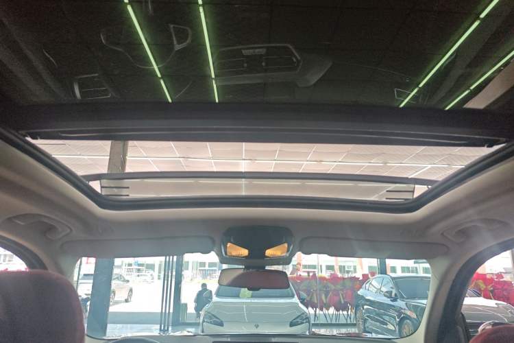 Used BMW iX3 2022 Leading Type Headliner