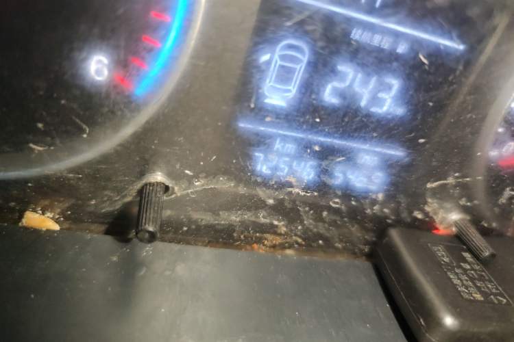 Used Foton Toano 2023 Urban Edition Van 2.0T Manual Short Wheelbase Mid-Height Roof Rear Single Tire 3-Seater