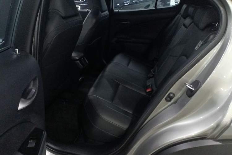 Used Lexus UX New Energy 2020 300e Pure·Joy Edition Left Rear Seat