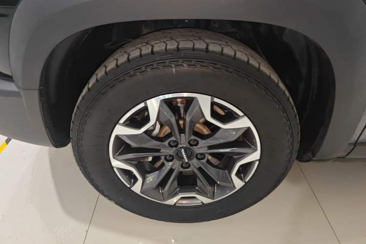 Used Haval DARGO 2024 2.0T DCT Chinese Rural Dog Edition
