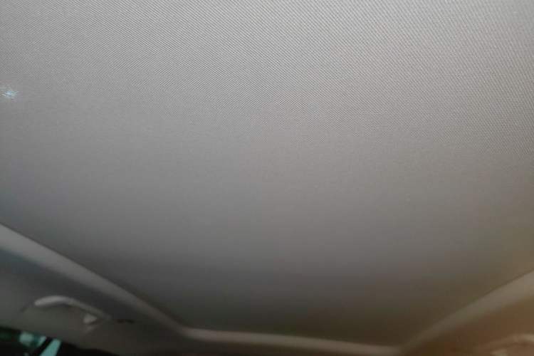 Used Hongqi E-HS9 2021 460 km Range Flagship Edition Six-Seater Headliner