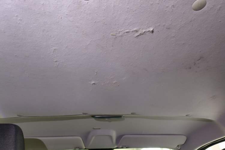 Used Ford Transit 2023 2.0T Gasoline Automatic Multi-Function Commercial Vehicle Short Wheelbase Low Roof 5/6 Seats