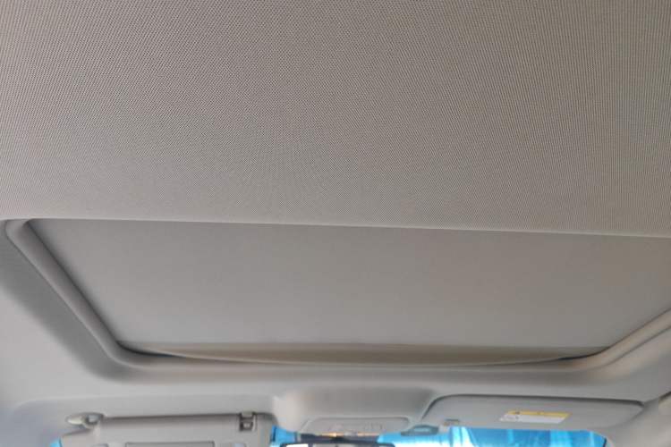 Used Buick GL8 2017 25S Luxury Version China V Standard Headliner