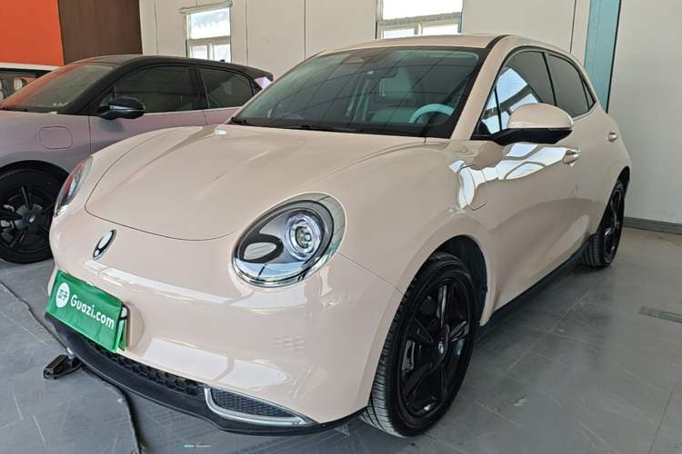 Used ORA Good Cat 2024 401 km Luxury Version