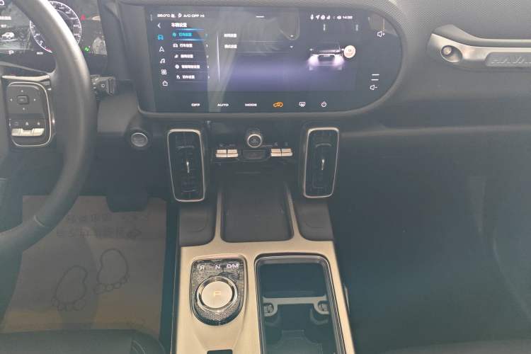 Used Haval DARGO 2024 2.0T DCT Chinese Rural Dog Edition
