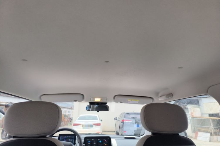 Used Qiyuan Lumin 2023 205km Xiangqin Version
