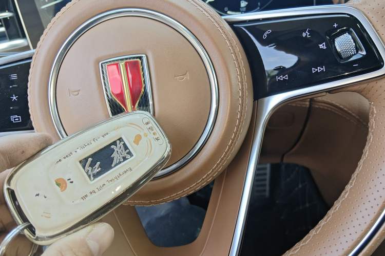 Used Hongqi H9 2020 2.0T Smart Connect Flagship Edition