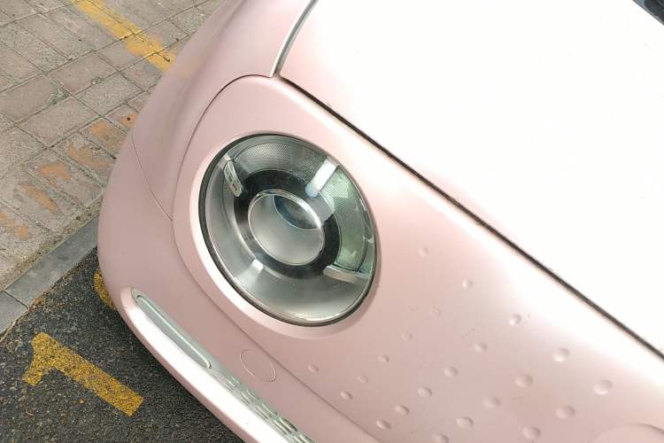 Used ORA Black Cat 2019 310km Fun Edition