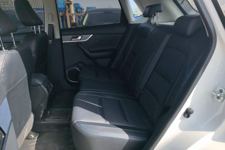 Used Venucia T60EV 2020 AI Enjoyment Model
