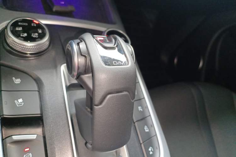 Used Tank 300 2021 City Edition 2.0T—Truly Stylish Gear Lever