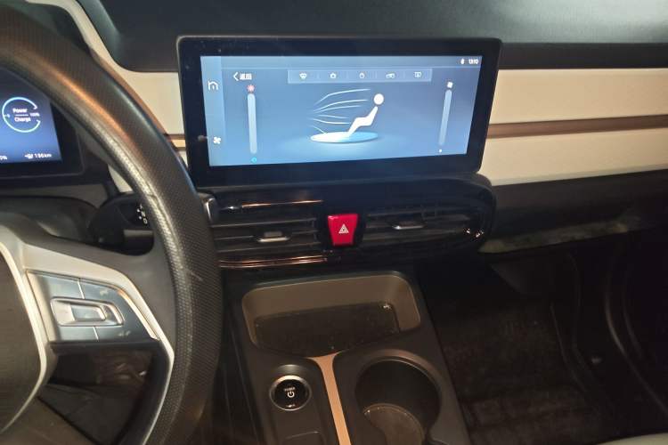 Used SOL E10X 2022 Flower Fairy Design Four-Leaf Clover