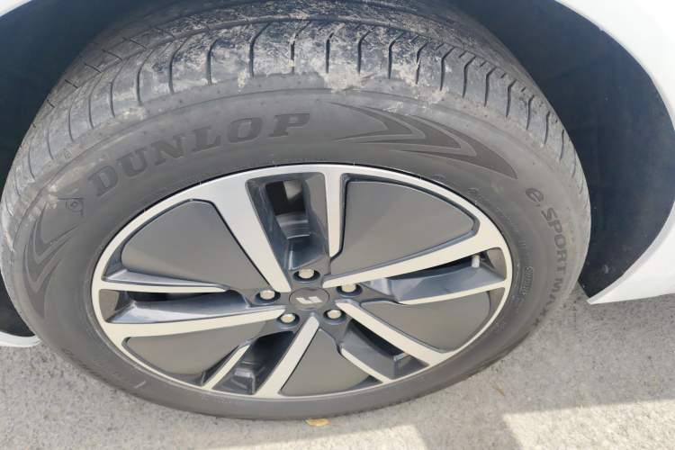 Used Li Auto L6 2024 Max
