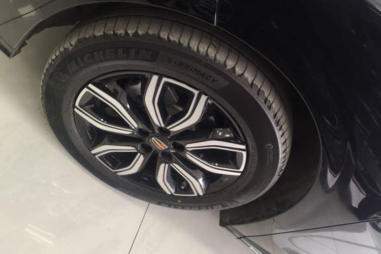 Used Hongqi HQ9 2023 2.0T Smart Connect Flagship Edition