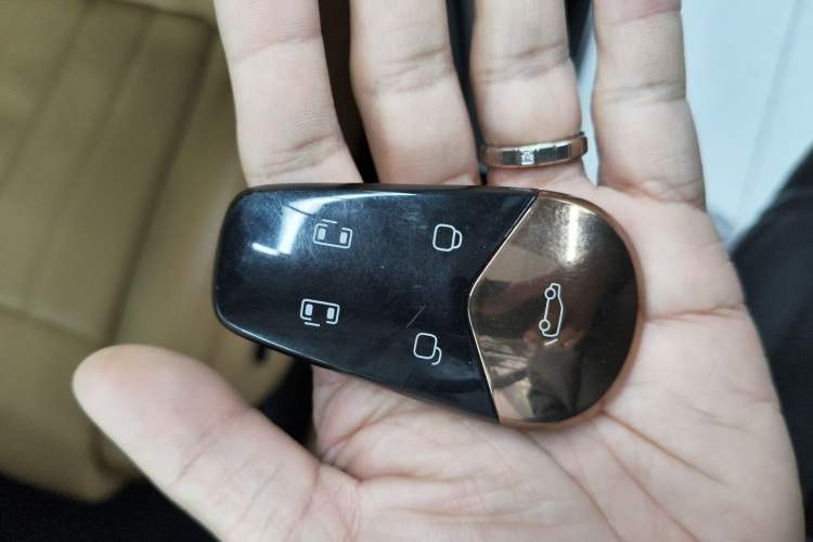 Used VOYAH Dream 2024 PHEV Extended-Range Premium Edition
