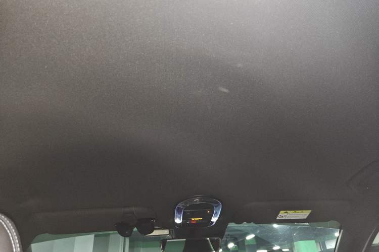 Used Hyundai IONIQ 5 N 2024 Base Model Headliner