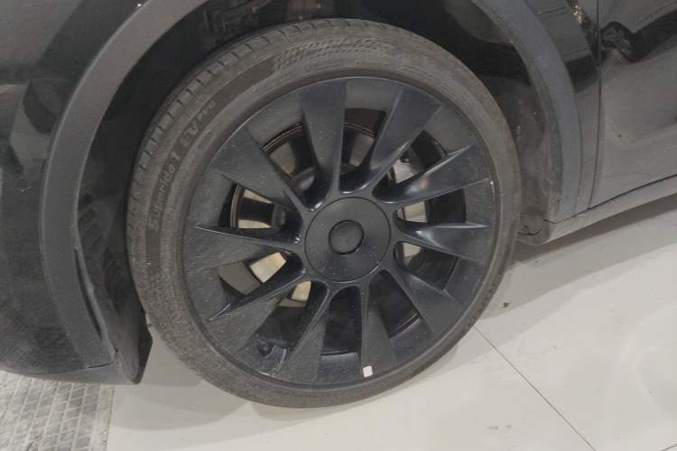 Used Tesla Model Y 2022 Revised Version Long-Range All-Wheel Drive
