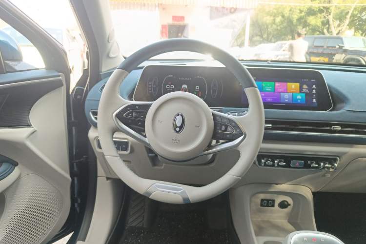 Used ORA Good Cat 2021 400km Standard Range Venus Edition Lithium Iron Phosphate
