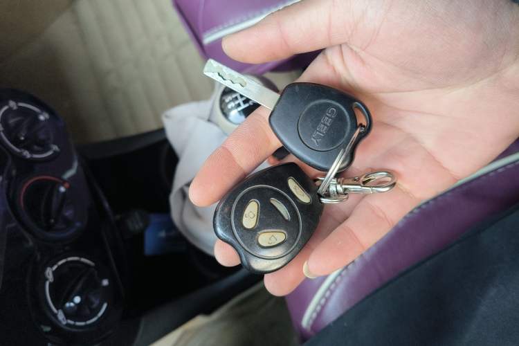 Used Geely Auto Panda Classic 2015 1.0L Manual "Mengdong" Edition
