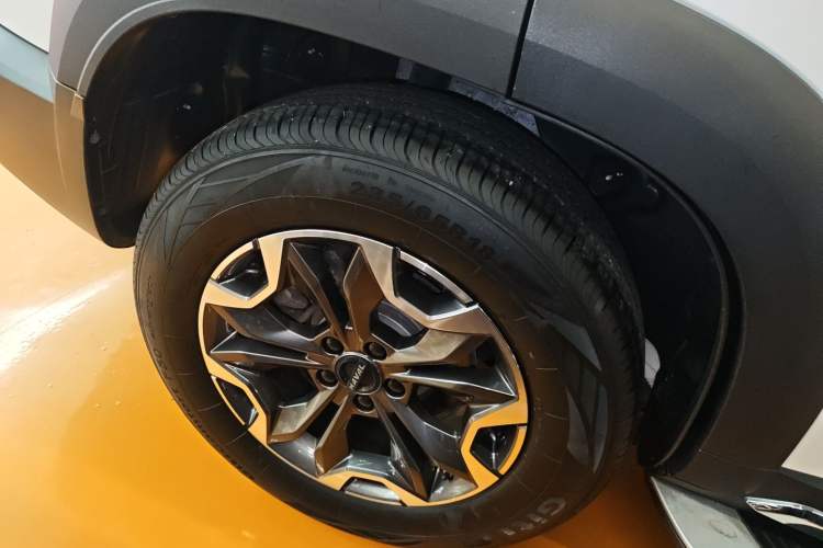 Used Haval DARGO 2021 2.0T DCT 4x4 Chinese Rural Dog Edition
