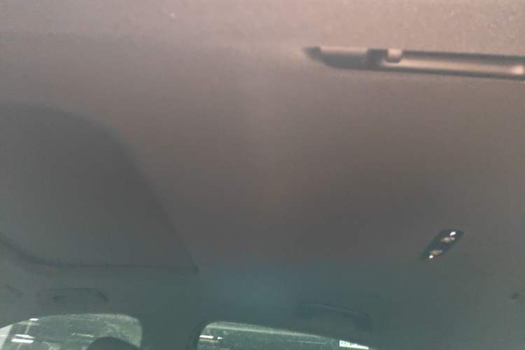 Used Audi A6L 2022 40 TFSI Luxury Dynamic Model Headliner