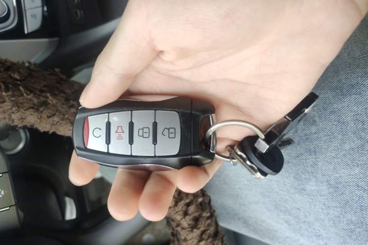 Used Great Wall Poer 2019 2.0T Automatic Gasoline Two-Wheel Drive Comfort Edition GW4C20B
