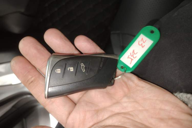 Used Lexus RX 2023 350h Two-Wheel Drive Comfort Edition