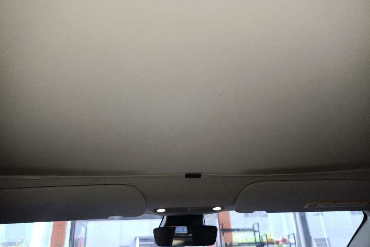 Used Tesla Model 3 2021 Revised Version Standard Range Rear-Wheel Drive Upgraded Edition 3D1 Headliner