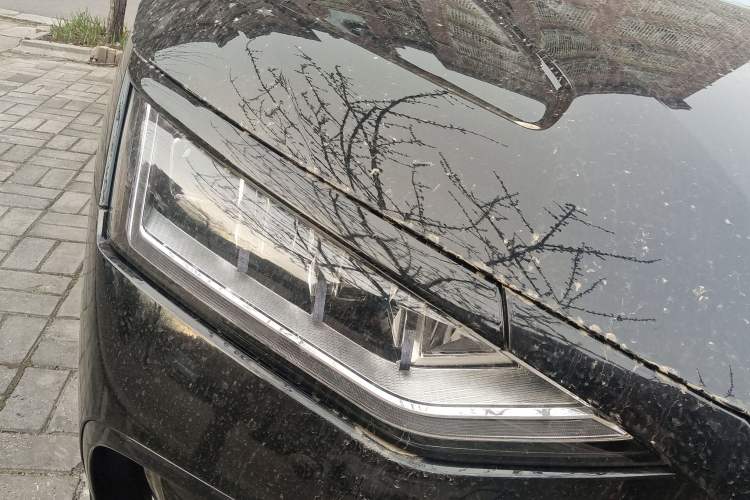 Used BYD Han 2023 DM-i Champion Edition 121KM Prestige Model
