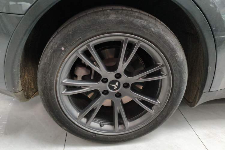 Used Tesla Model Y 2023 Rear-Wheel-Drive Version Exterior 5