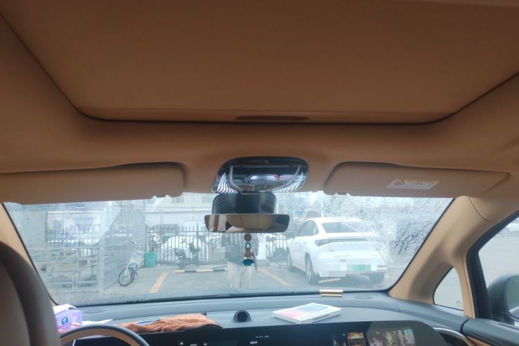 Used VOYAH Dream  Headliner