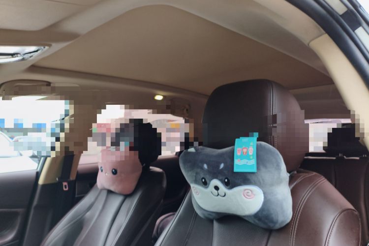 Used Leopaard Mattu 2018 1.6T GDI Manual Elite Model
