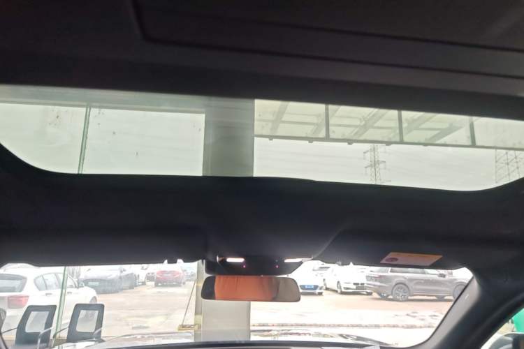 Used Li Auto L9 2022 Max model Headliner