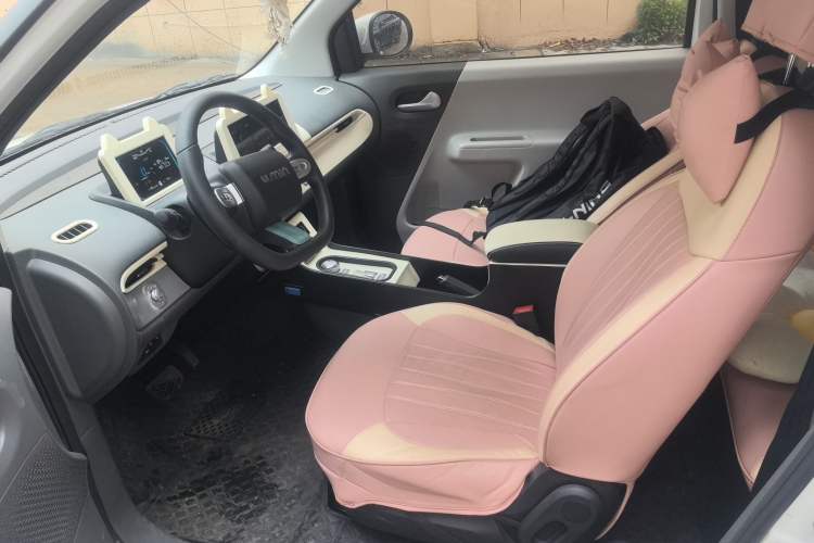 Used CHANGAN NEVO Lumin 2025 205 km Xiangqin Version Left Rear Seat