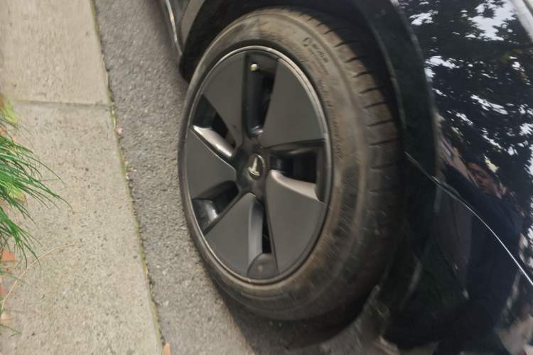 Used Tesla Model 3 2022 Rear-Wheel-Drive Version