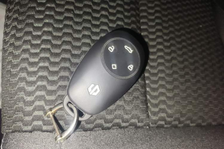 Used Leapmotor T03 2021 400 Micro-Sugar Version
