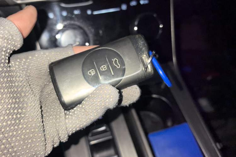 Used EXEED Lingyun 2021 290T Two-Wheel Drive Starry Edition